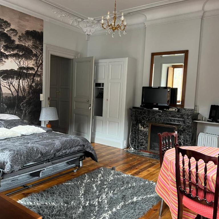 Studio Luchon location standing VILLA LUISA Luchon Pyrénées - One-Bedroom Apartment - 7