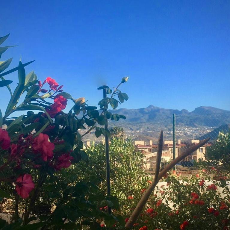 Cosy Flat near Golf Club - Heated Pool, Terrace, Garden, Wi-Fi - Apartamento de 1 dormitorio - 14