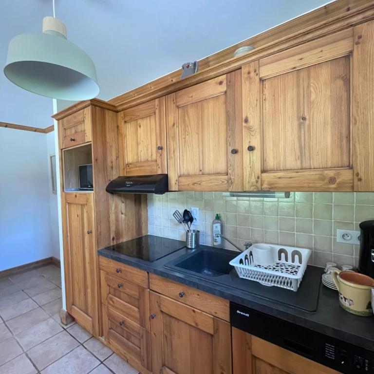 T2 vue sur le parc de la vanoise - Appartement 1 Chambre - 9