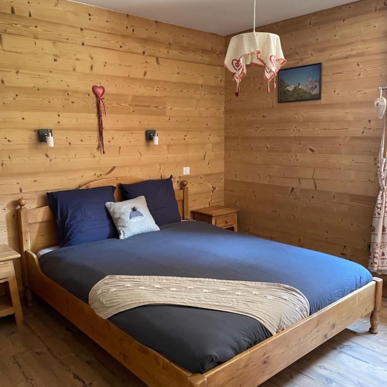 T2 vue sur le parc de la vanoise - Appartement 1 Chambre - 1