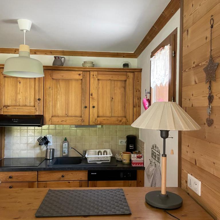 T2 vue sur le parc de la vanoise - Appartement 1 Chambre - 11