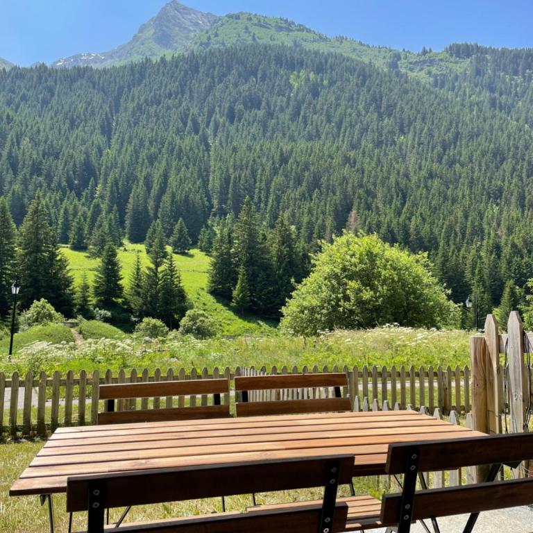 T2 vue sur le parc de la vanoise - Appartement 1 Chambre - 12