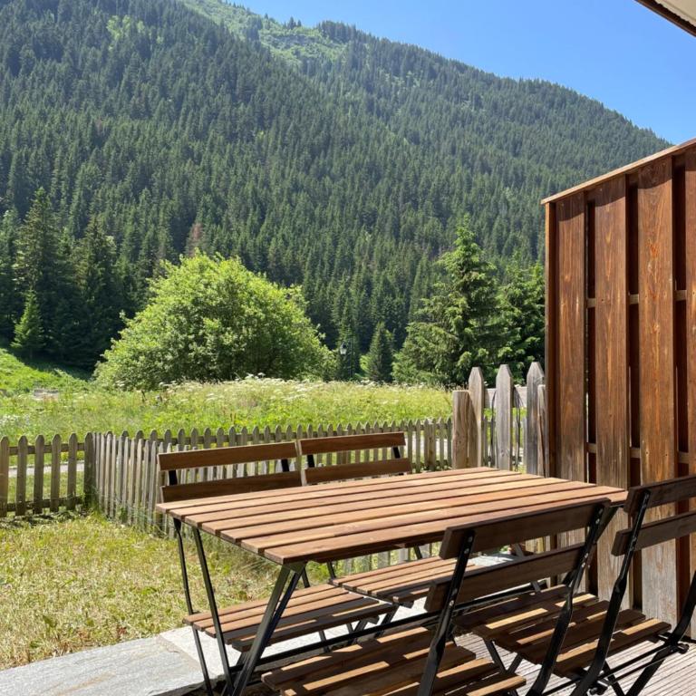 T2 vue sur le parc de la vanoise - Appartement 1 Chambre - 2