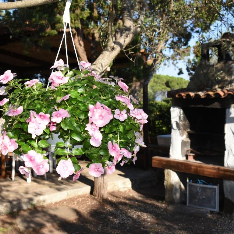 Splendida villa in riva al mare- - Villa Fronte Spiaggia - 19