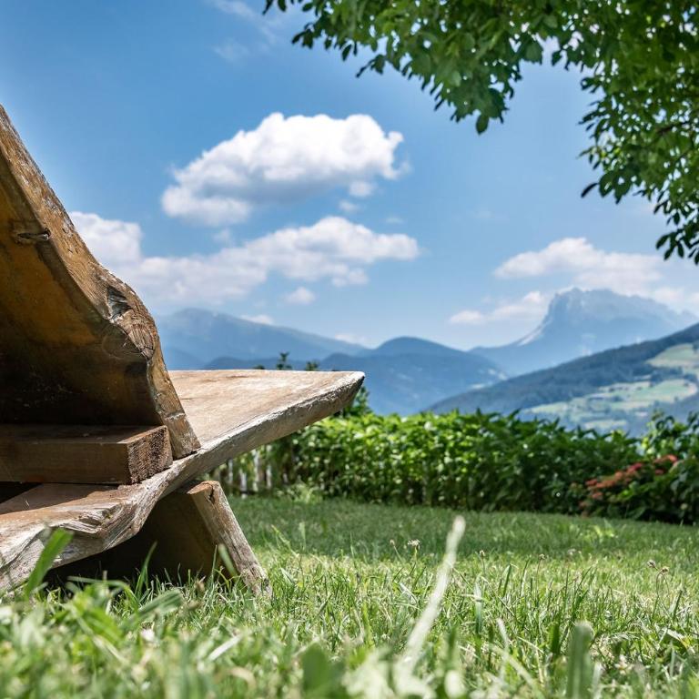 HAUSERHOF Farmhouse with Dolomite View - Apartment mit Gartenblick - 36