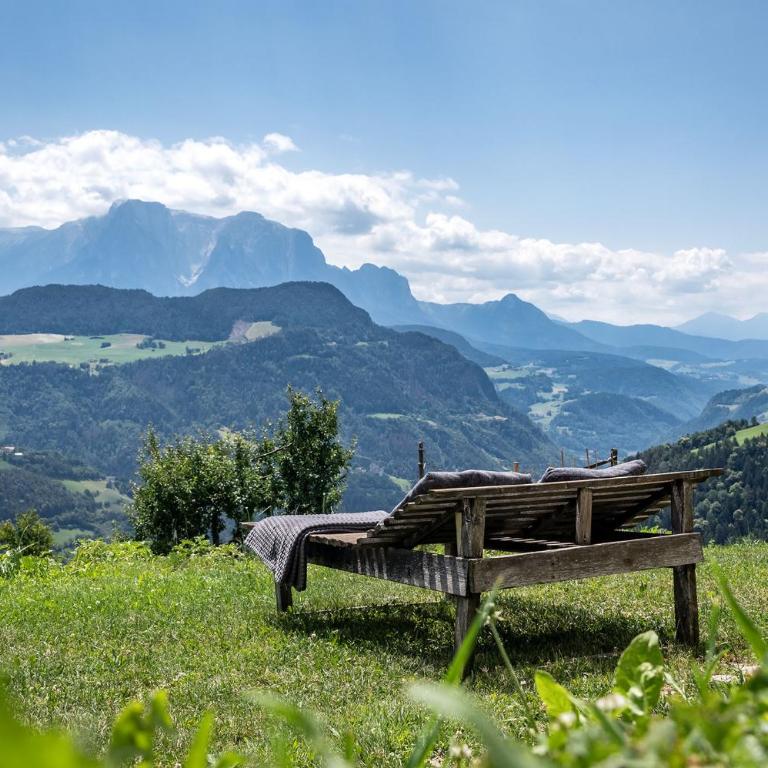 HAUSERHOF Farmhouse with Dolomite View - Apartment mit Gartenblick - 32