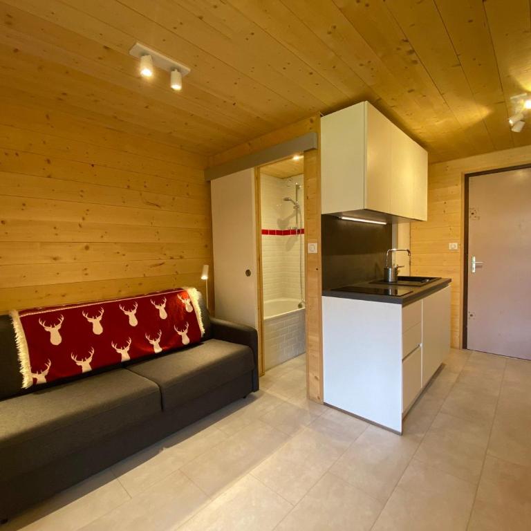 Studio calme proche centre Abondance, balcon Sud, casier à skis, parking - Studio - 4