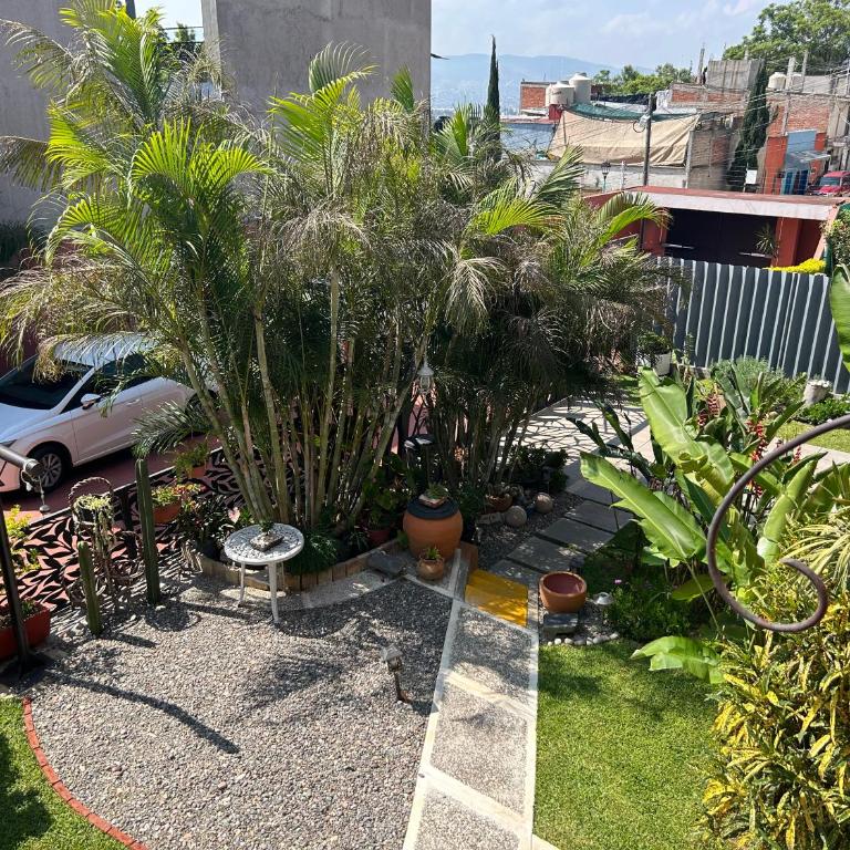 Casa de las Palmas Guest House - Double Room with Shared Bathroom - 10