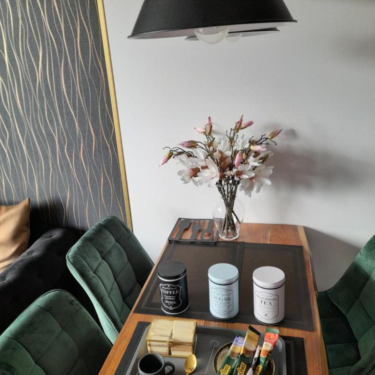 Vrnjačka Promenada - Pešačka zona - Baby friendly - One-Bedroom Apartment - 12