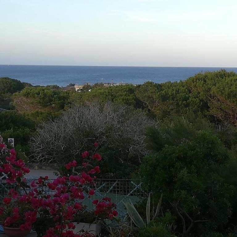 Cala Lupo bis - Appartamento con 1 Camera da Letto - 18