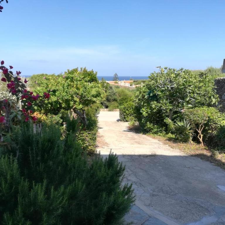 Cala Lupo bis - Appartamento con 1 Camera da Letto - 14