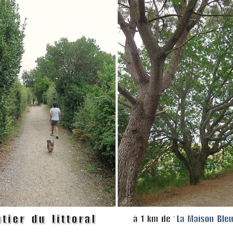 Villa de charme "La Maison Bleue" 4 étoiles Climatisation 12 pers - Villa - 28