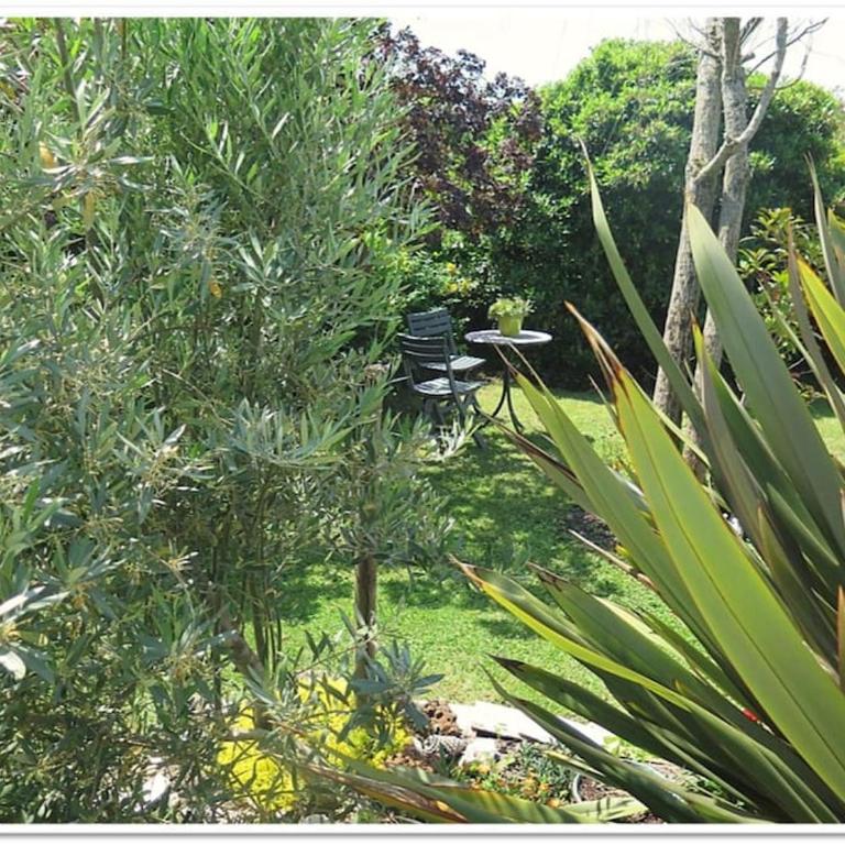 Villa de charme "La Maison Bleue" 4 étoiles Climatisation 12 pers - Villa - 21