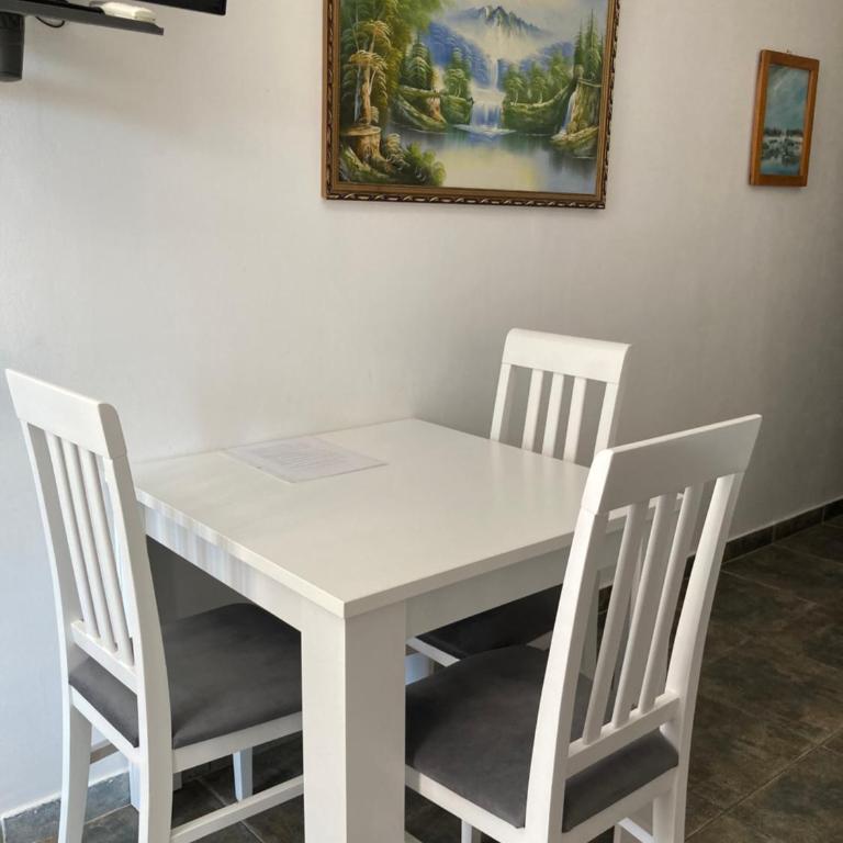 Mijovic Apartments - Apartman sa Terasom - 14