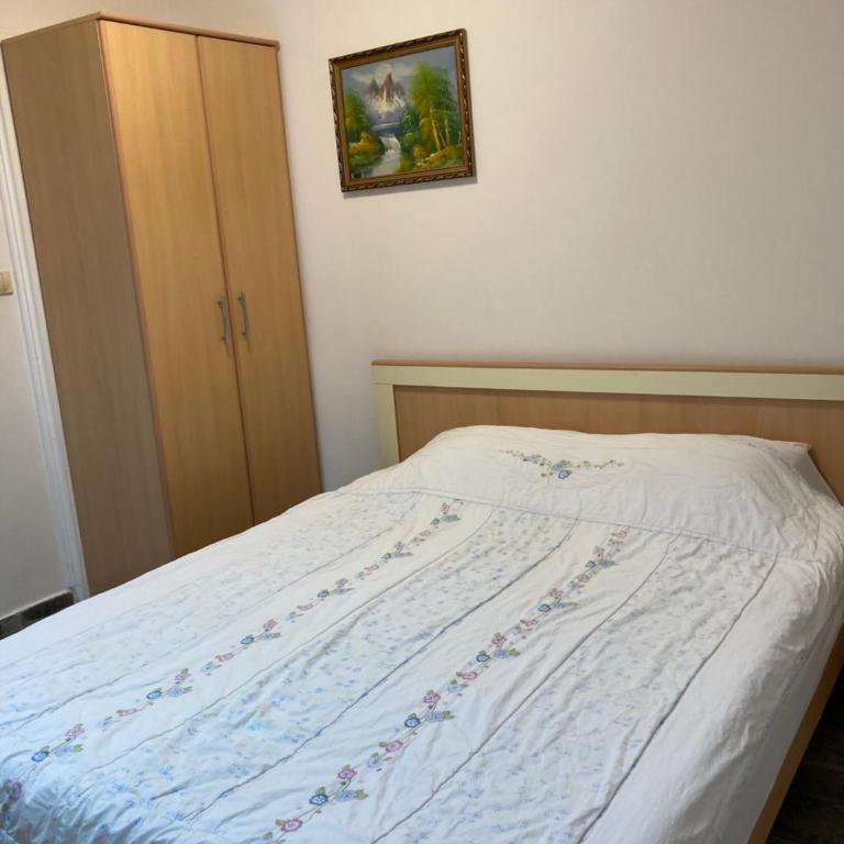 Mijovic Apartments - Apartman sa Terasom - 18