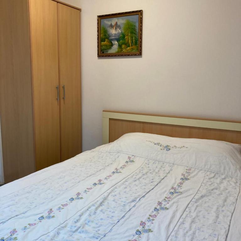 Mijovic Apartments - Apartman sa Terasom - 22