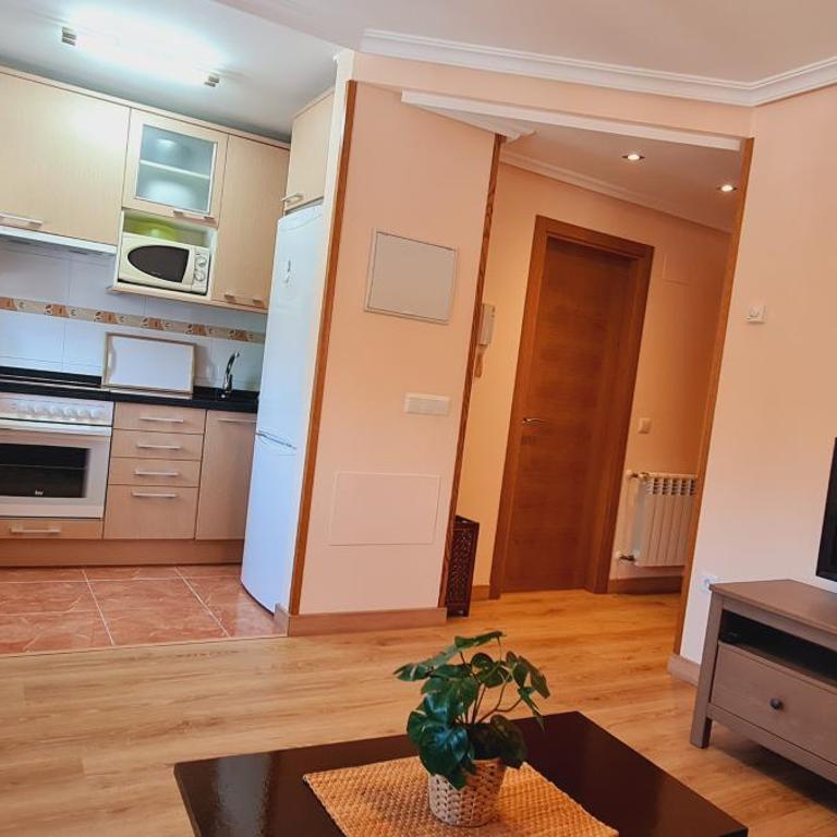 Apartamentos El Pigazu - Apartamento - 7