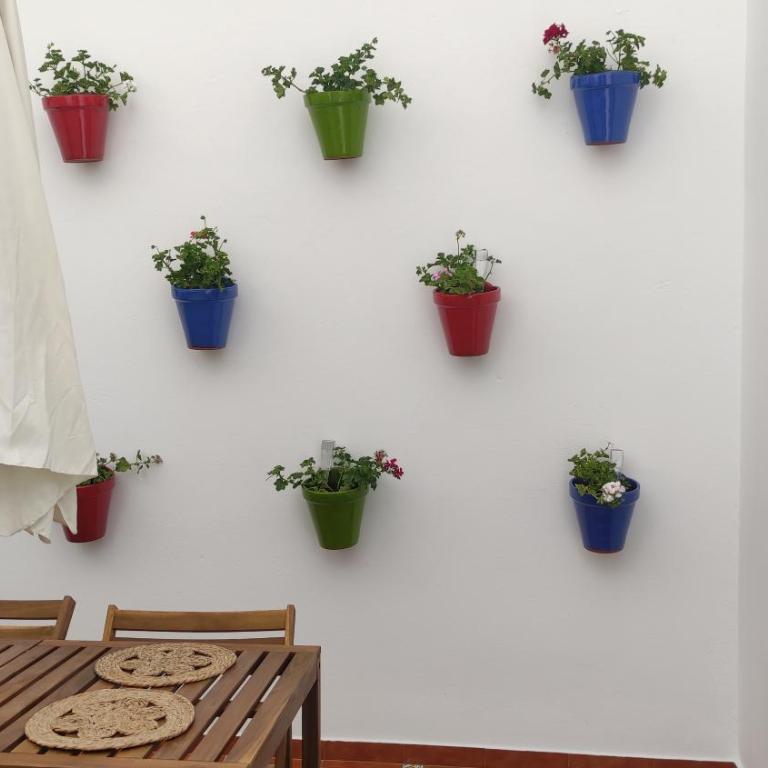 El Rincón de Madera - Apartamento céntrico en Conil - Apartamento de 2 dormitorios - 3