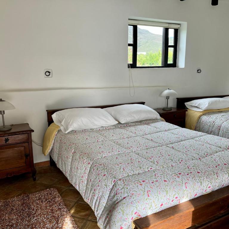 Hacienda Veracruz villa de leyva - Vacation Home - 7