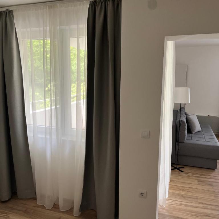 Milutinn-Jabuka - Apartman sa 1 Spavaćom Sobom - 35