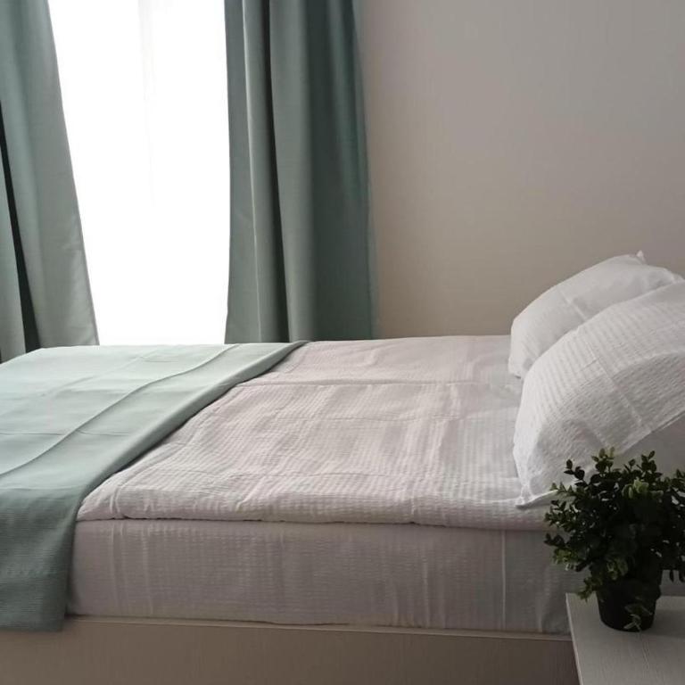 Milutinn-Visterija - Apartman sa 1 Spavaćom Sobom - 39