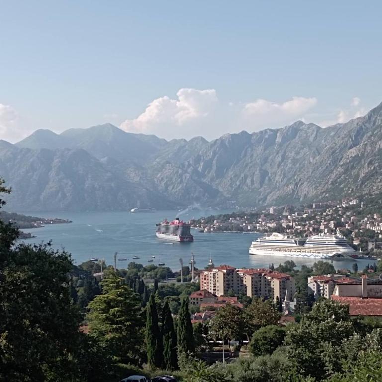 Radgost Kotor Apartments - Apartman sa 2 Spavaće Sobe - 33