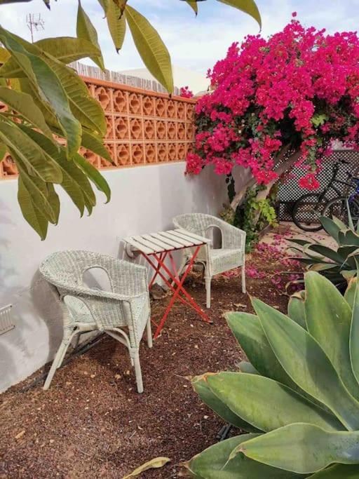 Villa Rustica -Heated Pool & Garden near the Beach - Villa de 3 dormitorios - 10