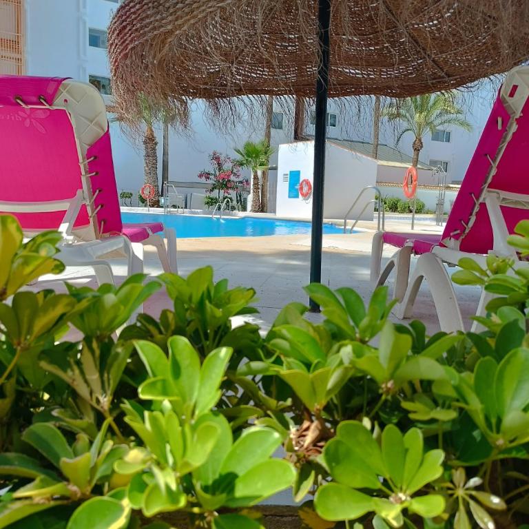 Apartamento Los Mangos - One-Bedroom Apartment - 35