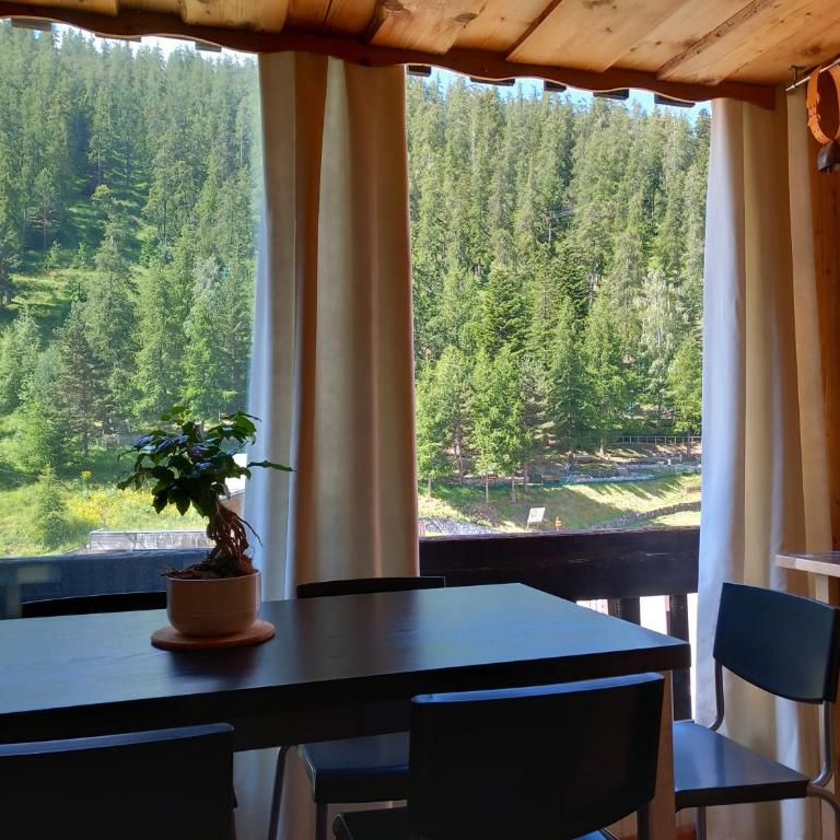 Très agréable 2 pièces au pied des pistes - Apartment mit 1 Schlafzimmer - 1
