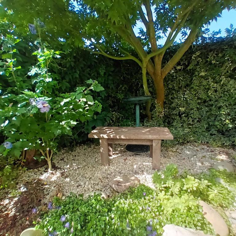 Cangas Natura - Apartamento de 2 dormitorios - 15