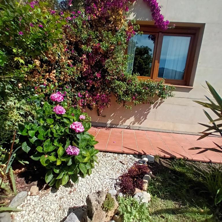 Cangas Natura - Apartamento de 2 dormitorios - 19