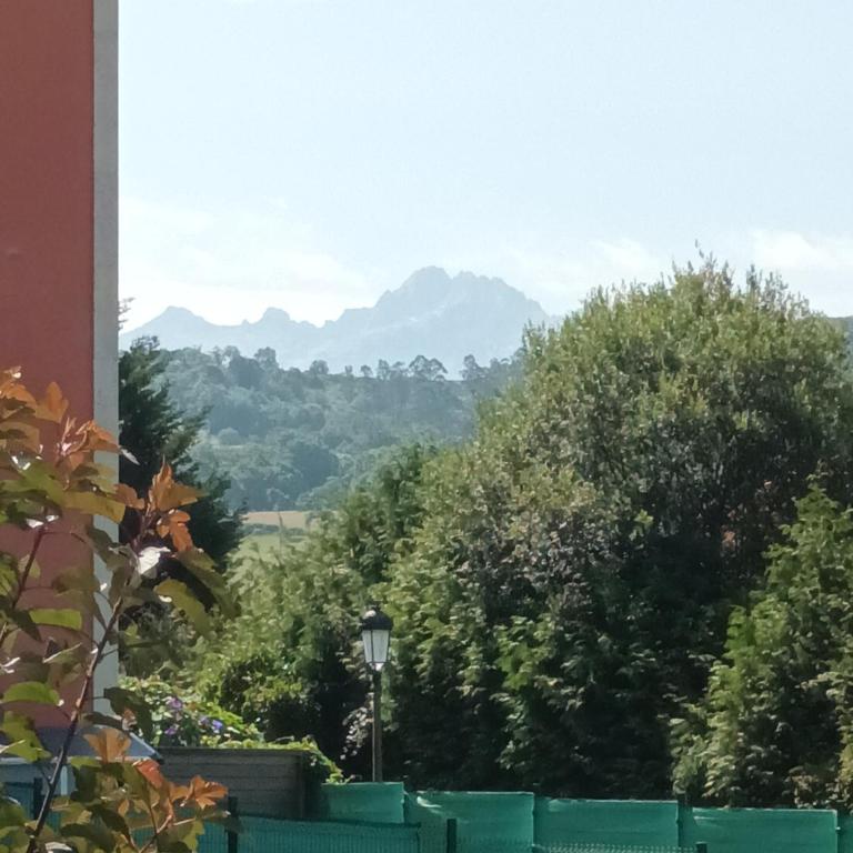 Cangas Natura - Apartamento de 2 dormitorios - 22