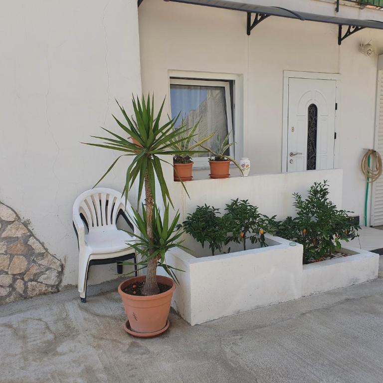 Casa Vacanze Expo - Appartamento con 2 Camere da Letto - 4