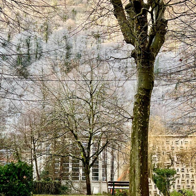 Fantastic Ground Floor Apartment Opposite Thermes - One-Bedroom Apartment - 28