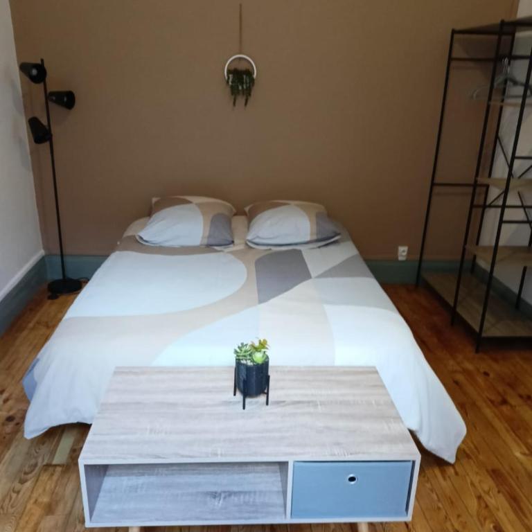 La Terrasse Zen DACHER - Superbe appartement 30 m2 tout équipé avec terrasse cœur Vichy proche gare Thermes Cures - Appartement 1 Chambre - 17