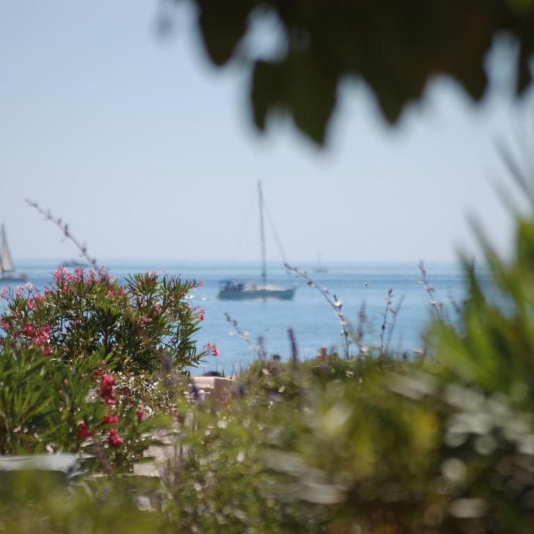 Arcadia Appartement - Vue sur Mer - Studio - Vue sur Mer - 10
