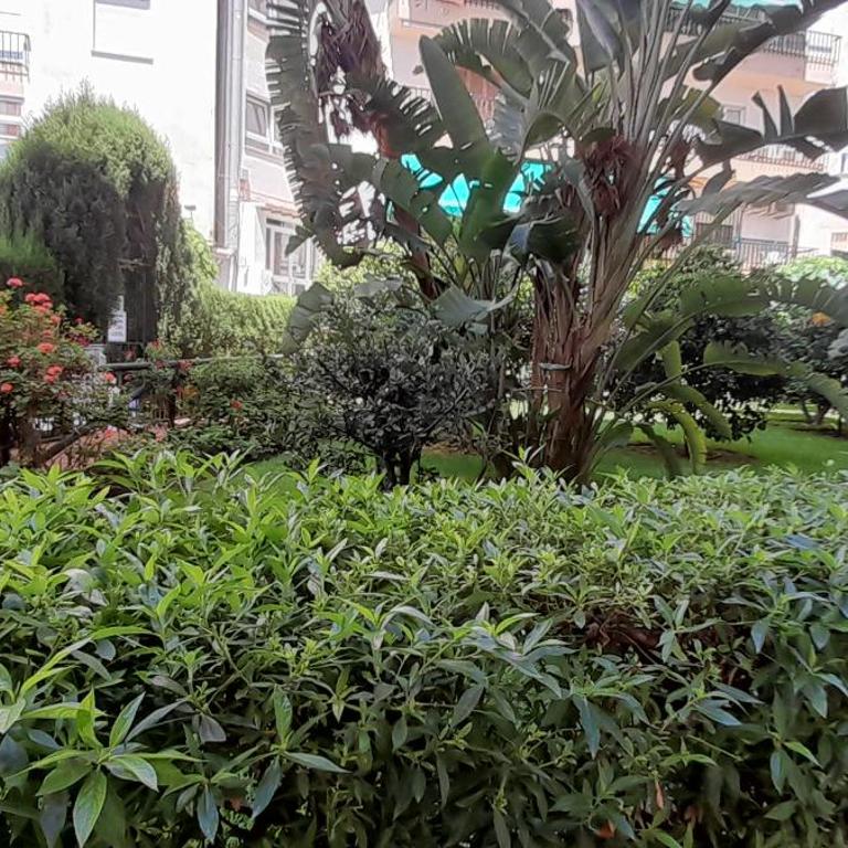 La casita de la piscina - Apartamento de 1 dormitorio - 24