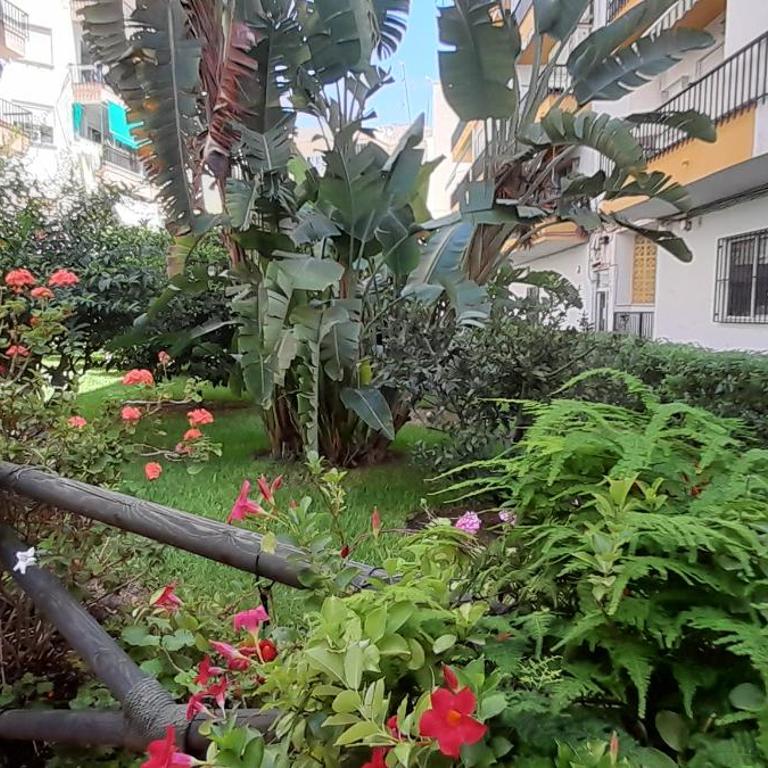 La casita de la piscina - Apartamento de 1 dormitorio - 21