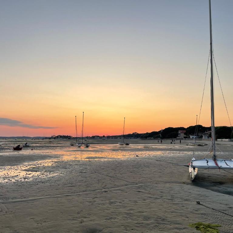 Studio à 2 min à pied de la plage, du port ostréicole et à 5 min du centre-ville ! - Studio - Vue sur Piscine - 15