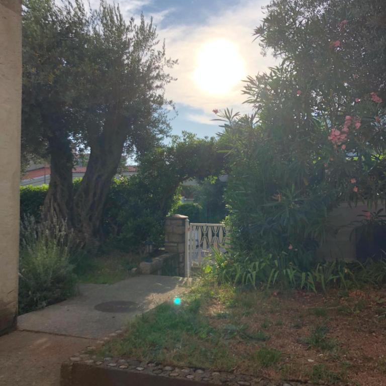 Dragana - Apartman sa 1 Spavaćom Sobom - 12