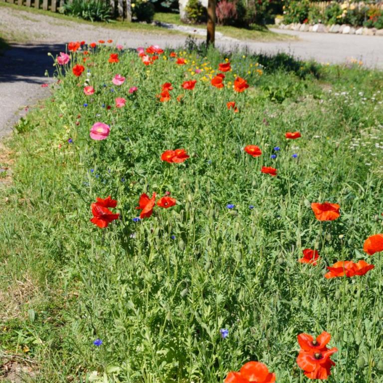 Grumserhof - Appartamento con 1 Camera da Letto - 34