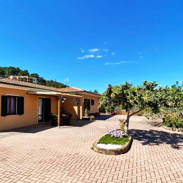 Le Maree Villino Scilla - Appartamento - 13