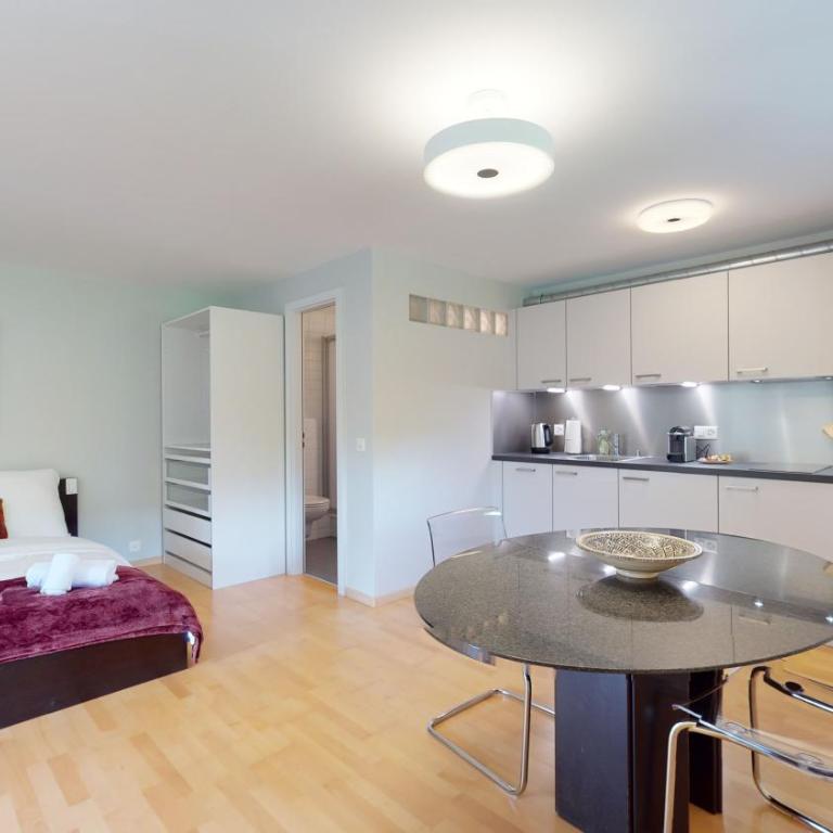 Spacious studio in a quiet area of Sierre - Studio mit Terrasse - 3