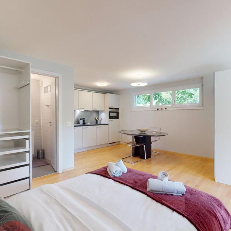 Spacious studio in a quiet area of Sierre - Studio mit Terrasse - 10