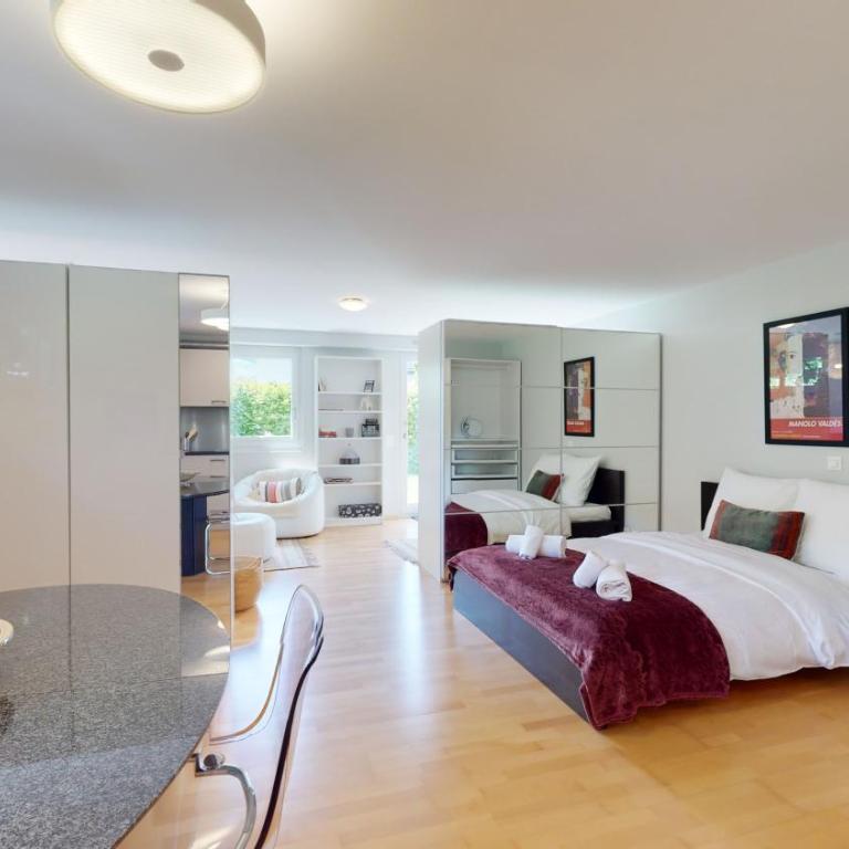 Spacious studio in a quiet area of Sierre - Studio mit Terrasse - 8