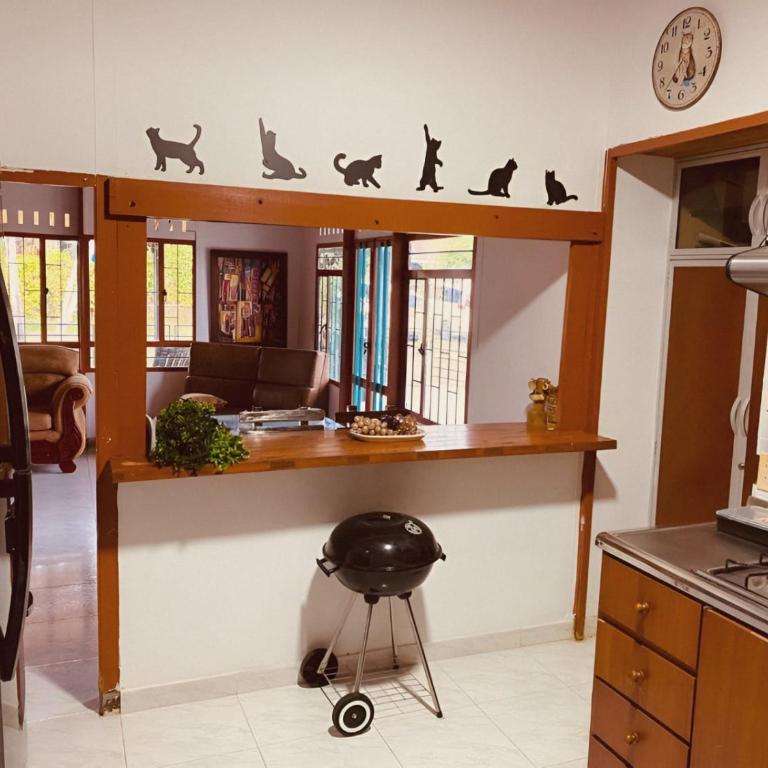 GatoPardo - Casa de 3 dormitorios - 19