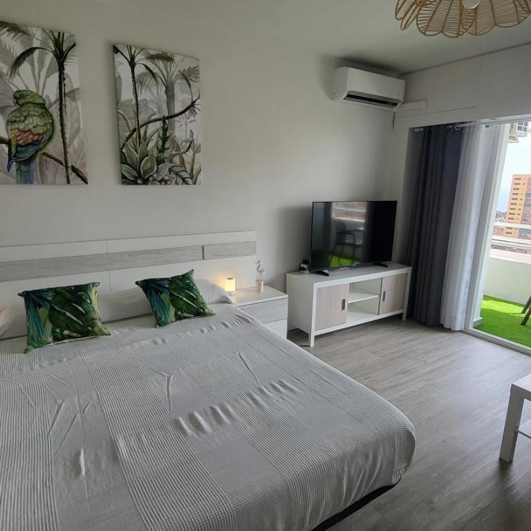 Vaiana - Apartamento de 1 dormitorio - 6