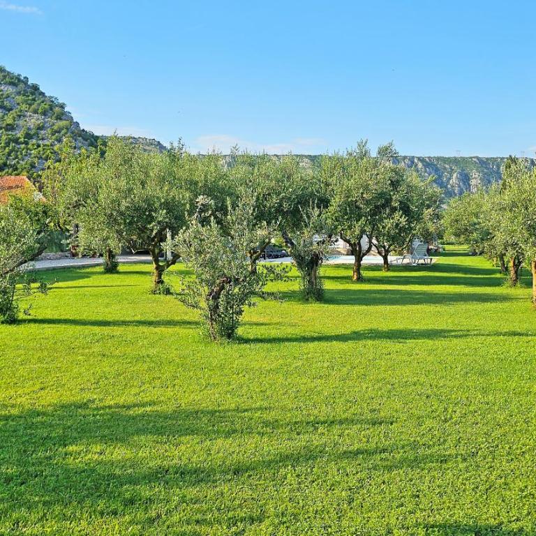 Holiday Home Natura with private pool - Vacation Home - 11