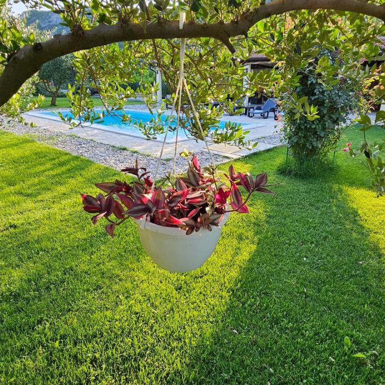 Holiday Home Natura with private pool - Vacation Home - 41