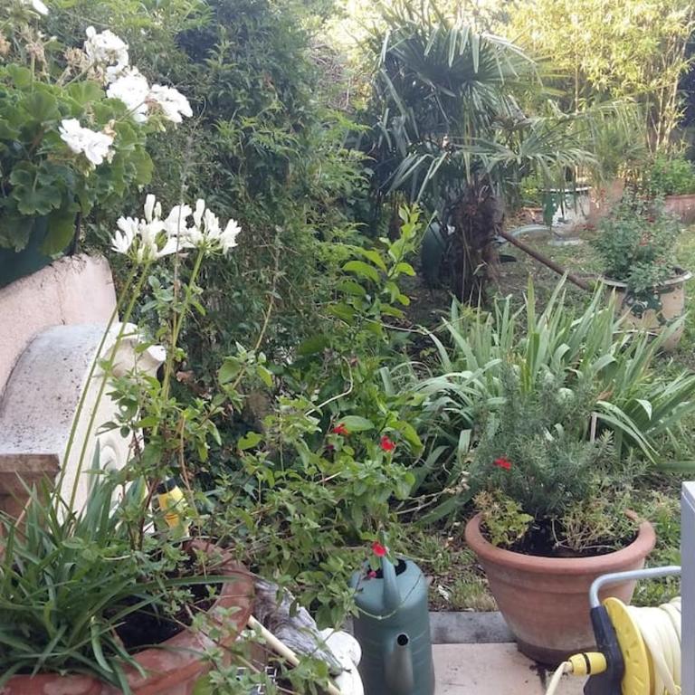 Hâvre de paix dans un écrin de verdure - Haus mit 4 Schlafzimmern - 6